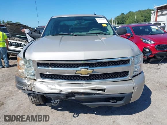 ✅ 2009 Chevrolet Silverado 1500 Work Truck • VIN: 1GCEK19C79Z267213 • Lot: 43074567. Listed on IAAI with 69,082 mi. Free auction sales archive from the USA and detailed vehicle history report at DreamBid. Image 13.