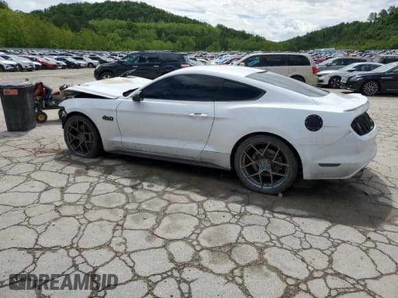 ✅ 2017 Ford Mustang GT • VIN: 1FA6P8CF4H5209069 • Lot: 56541695. Wystawiony na Copart z przebiegiem 104 156 mil. Bezpłatny archiwum sprzedaży aukcyjnych z USA i szczegółowy raport historii pojazdu na DreamBid. Zdjęcie 2.