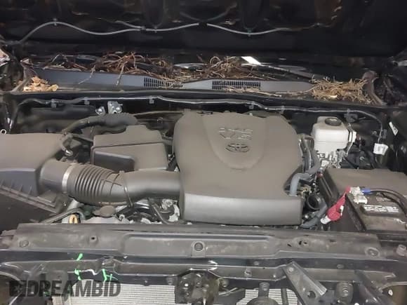 ✅ 2023 Toyota Tacoma SR • VIN: 3TMCZ5AN1PM583518 • Lot: 41842903. Listed on IAAI with 24,204 mi. Free auction sales archive from the USA and detailed vehicle history report at DreamBid. Image 10.