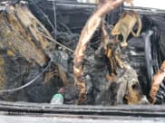 ✅ 2018 Hyundai Elantra SEL • VIN: 5NPD84LF3JH244389 • Lot: 84724865. Wystawiony na Copart z przebiegiem Nie podano. Bezpłatny archiwum sprzedaży aukcyjnych z USA i szczegółowy raport historii pojazdu na DreamBid. Zdjęcie 11.