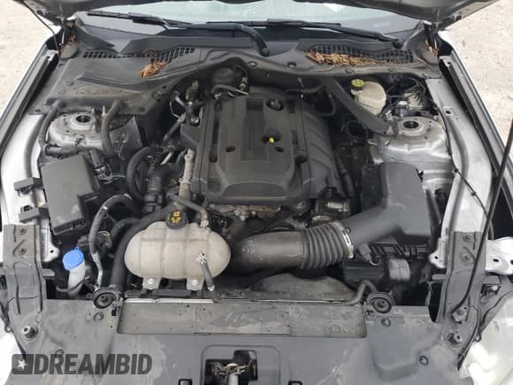 ✅ 2020 Ford Mustang EcoBoost • VIN: 1FATP8UH9L5157434 • Lot: 72012535. Listed on Copart with 66,629 mi. Free auction sales archive from the USA and detailed vehicle history report at DreamBid. Image 11.