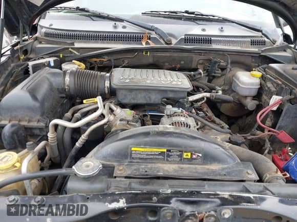 2005 Dodge Dakota Laramie z VIN 1D7HE58NX5S210320, wystawiony jako IAAI lot #41767606 z przebiegiem Nie podano mil oraz . Historia ofert i sprzedaży dostępna na DreamBid. Obrazek 10.