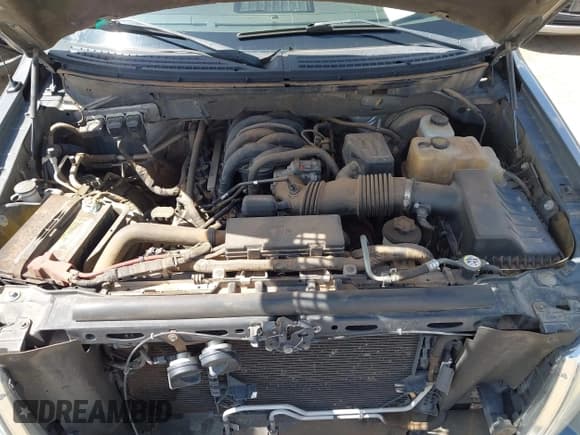 ✅ 2010 Ford F-150 XL • VIN: 1FTEW1C86AFA09862 • Lot: 42776236. Listed on IAAI with 142,387 mi. Free auction sales archive from the USA and detailed vehicle history report at DreamBid. Image 10.