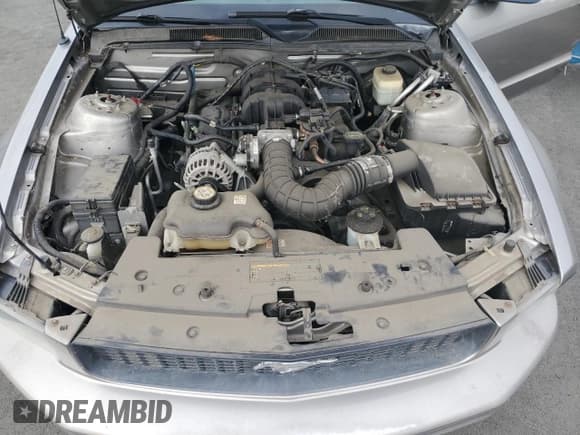 ✅ 2008 Ford Mustang Deluxe • VIN: 1ZVHT84N485178956 • Лот: 87482855. Опубликован ранее на Copart с пробегом 105 928 миль. Бесплатный доступ к архиву аукционных продаж из США и подробный отчёт об истории автомобиля на DreamBid. Изображение 11.