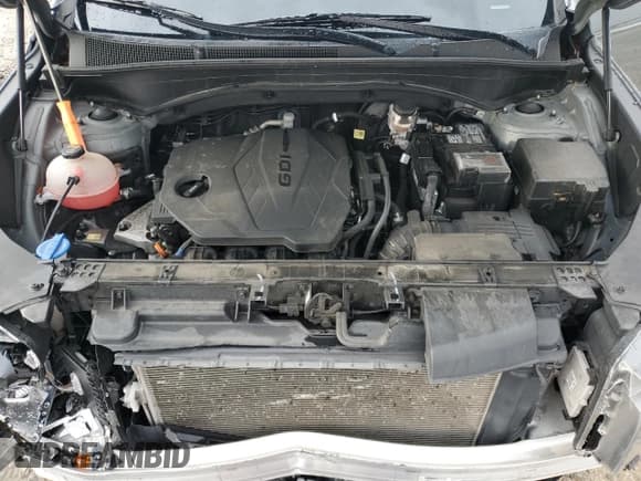 ✅ 2021 Hyundai Santa Fe SEL • VIN: 5NMS24AJ4MH358421 • Lot: 62308674. Wystawiony na Copart z przebiegiem 79 324 mil. Bezpłatny archiwum sprzedaży aukcyjnych z USA i szczegółowy raport historii pojazdu na DreamBid. Zdjęcie 14.