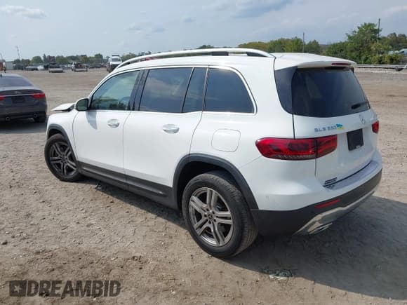 ✅ 2020 Mercedes-Benz GLB 250 • VIN: W1N4M4HB1LW042125 • Lot: 43289788. Listed on IAAI with 100,172 mi. Free auction sales archive from the USA and detailed vehicle history report at DreamBid. Image 3.