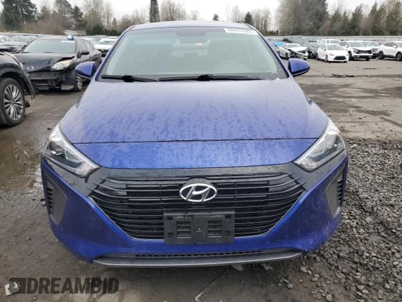 ✅ 2019 Hyundai Ioniq Blue • VIN: KMHC65LC0KU109564 • Lot: 88425585. Wystawiony na Copart z przebiegiem 52 119 mil. Bezpłatny archiwum sprzedaży aukcyjnych z USA i szczegółowy raport historii pojazdu na DreamBid. Zdjęcie 5.