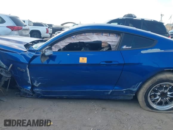 ✅ 2017 Ford Mustang GT • VIN: 1FA6P8CF1H5322980 • Lot: 43339612. Listed on IAAI with Not provided. Free auction sales archive from the USA and detailed vehicle history report at DreamBid. Image 13.