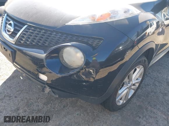 ✅ 2012 Nissan Juke SL • VIN: JN8AF5MR9CT115678 • Lot: 43284194. Listed on IAAI with Not provided. Free auction sales archive from the USA and detailed vehicle history report at DreamBid. Image 6.