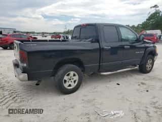 2002 Dodge 1500 z VIN 1B7HU18Z32J106214, wystawiony jako Copart lot #71780234 z przebiegiem 194 853 mil mil oraz Szkoda całkowita • Salvage title. Historia ofert i sprzedaży dostępna na DreamBid. Obrazek 3.