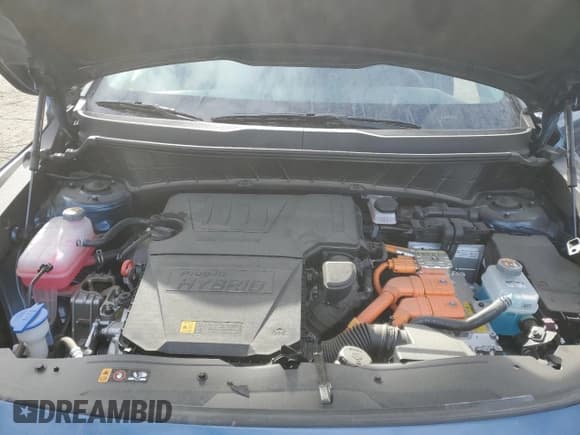 ✅ 2024 Kia Niro EX • VIN: KNDCS3LF0R5171176 • Lot: 85238554. Listed on Copart with 21,174 mi. Free auction sales archive from the USA and detailed vehicle history report at DreamBid. Image 12.