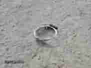 2009 MINI Hardtop z VIN WMWMF33539TW70482, wystawiony jako Copart lot #86130595 z przebiegiem 120 031 mil mil oraz Szkoda całkowita • Salvage title. Historia ofert i sprzedaży dostępna na DreamBid. Obrazek 12.