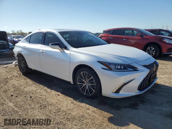 ✅ 2022 Lexus ES 250 • VIN: 58AD11D17NU008947 • Lot: 85534295. Listed on Copart with 43,709 mi. Free auction sales archive from the USA and detailed vehicle history report at DreamBid. Image 4.