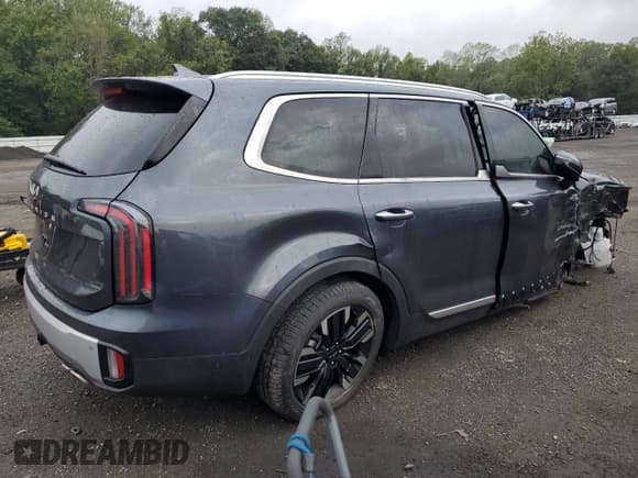 ✅ 2024 Kia Telluride SX • VIN: 5XYP54GC5RG554584 • Lot: 80985525. Listed on Copart with 3,785 mi. Free auction sales archive from the USA and detailed vehicle history report at DreamBid. Image 3.