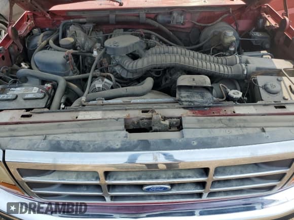 ✅ 1997 Ford F-250 • VIN: 1FTHX26H3VEC25689 • Lot: 67175975. Wystawiony na Copart z przebiegiem 219 753 mil. Bezpłatny archiwum sprzedaży aukcyjnych z USA i szczegółowy raport historii pojazdu na DreamBid. Zdjęcie 11.