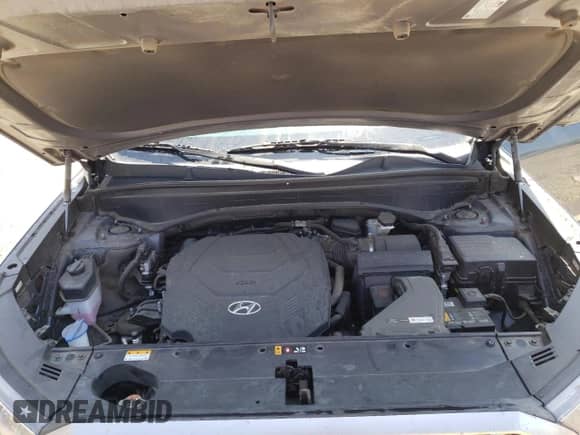 2022 Hyundai Palisade Calligraphy с VIN KM8R74HE5NU423274, выставлен на аукционе Copart как лот 69466784 с пробегом 46 976 миль миль и Списание • Salvage title. История ставок и продаж доступна на DreamBid. Изображение 12.