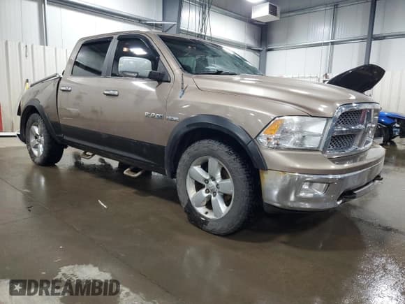 ✅ 2010 Dodge 1500 Laramie • VIN: 1D7RV1CT9AS120217 • Lot: 47941375. Wystawiony na Copart z przebiegiem 201 433 mil. Bezpłatny archiwum sprzedaży aukcyjnych z USA i szczegółowy raport historii pojazdu na DreamBid. Zdjęcie 4.