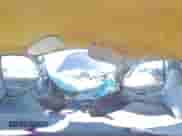 2001 Dodge 1500 Work Special с VIN 1B7HC16X21S272947, выставлен на аукционе Copart как лот 85103274 с пробегом Не указан миль и Списание • Salvage title. История ставок и продаж доступна на DreamBid. Изображение 13.