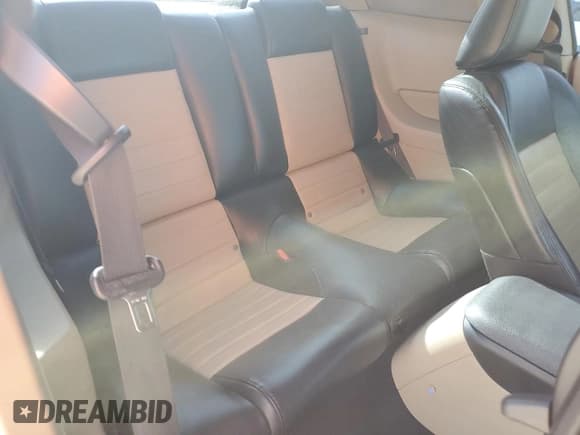 ✅ 2008 Ford Mustang GT Deluxe • VIN: 1ZVHT82H185142185 • Lot: 90108635. Wystawiony na Copart z przebiegiem 107 068 mil. Bezpłatny archiwum sprzedaży aukcyjnych z USA i szczegółowy raport historii pojazdu na DreamBid. Zdjęcie 10.