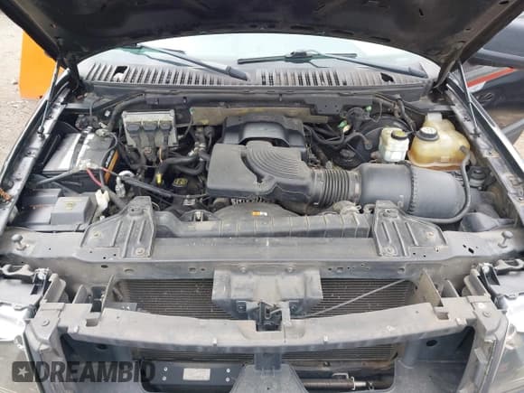 ✅ 2003 Ford Expedition XLT Value • VIN: 1FMPU16W13LC06625 • Lot: 43819356. Wystawiony na IAAI z przebiegiem 173 383 mil. Bezpłatny archiwum sprzedaży aukcyjnych z USA i szczegółowy raport historii pojazdu na DreamBid. Zdjęcie 10.