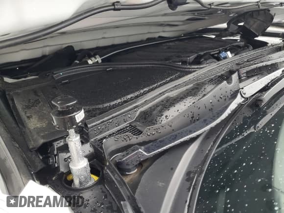 ✅ 2024 Nissan Z Nismo • VIN: JN1BZ4CH1RM360314 • Lot: 81260605. Wystawiony na Copart z przebiegiem 3 478 mil. Bezpłatny archiwum sprzedaży aukcyjnych z USA i szczegółowy raport historii pojazdu na DreamBid. Zdjęcie 11.