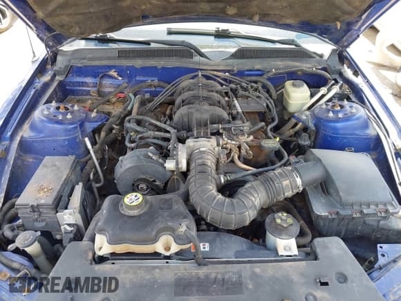 ✅ 2005 Ford Mustang Deluxe • VIN: 1ZVFT80N355125223 • Lot: 43054913. Wystawiony na IAAI z przebiegiem 97 966 mil. Bezpłatny archiwum sprzedaży aukcyjnych z USA i szczegółowy raport historii pojazdu na DreamBid. Zdjęcie 10.