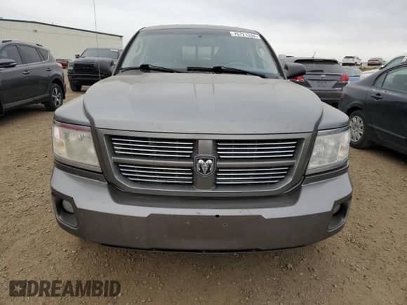 2010 Dodge Dakota SXT с VIN 1D7CW3GP3AS161843, выставлен на аукционе Copart как лот 76721334 с пробегом 308 931 миль миль и Чистый • Clean title. История ставок и продаж доступна на DreamBid. Изображение 5.