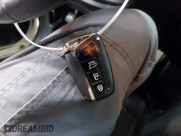 2017 Hyundai Santa Fe 2.4L с VIN 5XYZU3LB8HG395111, выставлен на аукционе IAAI как лот 43382949 с пробегом 151 972 миль миль и . История ставок и продаж доступна на DreamBid. Изображение 11.