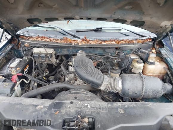 ✅ 2005 Ford F-150 STX • VIN: 1FTRF02W25KE27828 • Лот: 42393073. Опубликован ранее на IAAI с пробегом 460 288 миль. Бесплатный доступ к архиву аукционных продаж из США и подробный отчёт об истории автомобиля на DreamBid. Изображение 10.