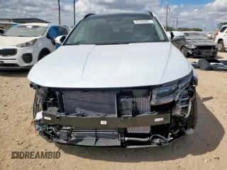 2025 Hyundai Tucson Limited with VIN KM8JEDD14SU345748, listed as a Copart auction lot 85488085 with 1,189 mi miles and Salvage title. Bid and sale history available at DreamBid. Image 5.