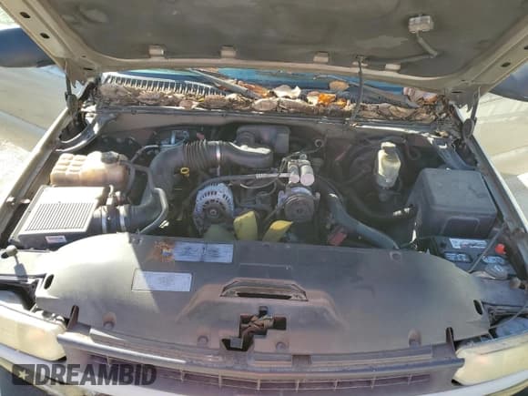 ✅ 2002 Chevrolet Silverado 1500 • VIN: 1GCEC14W12Z340242 • Лот: 77856764. Опубликован ранее на Copart с пробегом 272 578 миль. Бесплатный доступ к архиву аукционных продаж из США и подробный отчёт об истории автомобиля на DreamBid. Изображение 11.