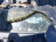 ✅ 2002 Chevrolet Silverado 2500HD LS • VIN: 1GCHK23G72F125157 • Лот: 41932868. Опубликован ранее на IAAI с пробегом Не указан. Бесплатный доступ к архиву аукционных продаж из США и подробный отчёт об истории автомобиля на DreamBid. Изображение 9.