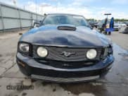 ✅ 2009 Ford Mustang GT • VIN: 1ZVHT82H295134243 • Lot: 81117775. Listed on Copart with 112,441 mi. Free auction sales archive from the USA and detailed vehicle history report at DreamBid. Image 5.