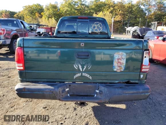 2000 Dodge Dakota with VIN 1B7FL26P0YS764903, listed as a Copart auction lot 76695194 with 166,471 mi miles and Salvage title. Bid and sale history available at DreamBid. Image 6.