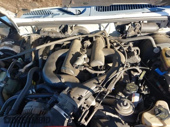 ✅ 1998 Ford Explorer XL • VIN: 1FMZU34E5WZC18387 • Лот: 43876918. Опубликован ранее на IAAI с пробегом 208 836 миль. Бесплатный доступ к архиву аукционных продаж из США и подробный отчёт об истории автомобиля на DreamBid. Изображение 10.