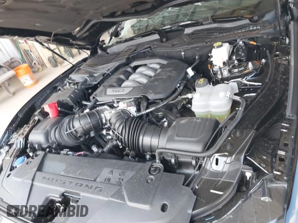 ✅ 2025 Ford Mustang GT • VIN: 1FA6P8CF7S5400976 • Lot: 42441842. Listed on IAAI with Not provided. Free auction sales archive from the USA and detailed vehicle history report at DreamBid. Image 10.