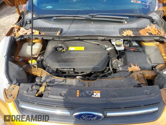 ✅ 2016 Ford Escape SE • VIN: 1FMCU9GXXGUA05973 • Lot: 43711149. Wystawiony na IAAI z przebiegiem 150 056 mil. Bezpłatny archiwum sprzedaży aukcyjnych z USA i szczegółowy raport historii pojazdu na DreamBid. Zdjęcie 10.