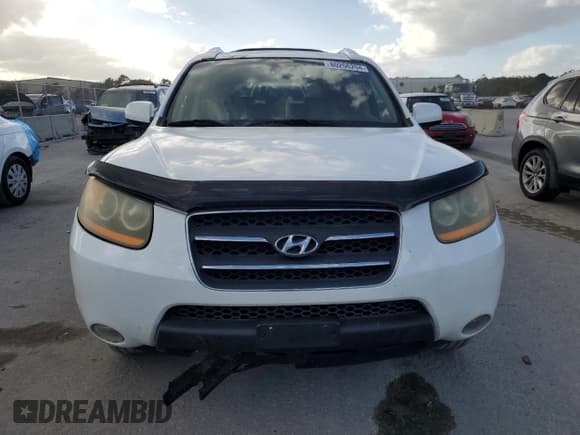 ✅ 2009 Hyundai Santa Fe Limited • VIN: 5NMSH13E09H298920 • Lot: 80206294. Listed on Copart with 183,289 mi. Free auction sales archive from the USA and detailed vehicle history report at DreamBid. Image 5.