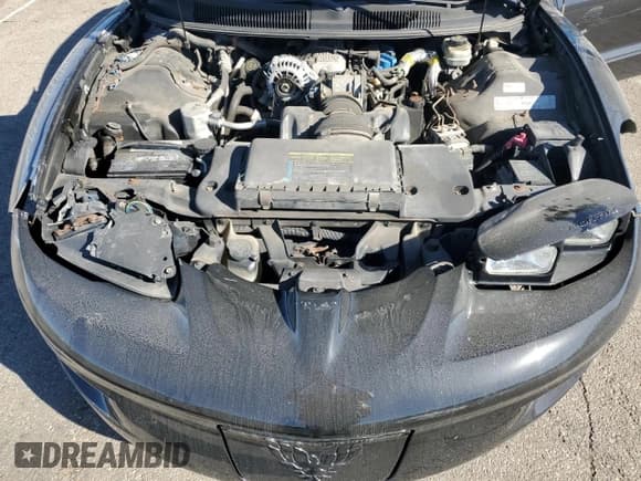 ✅ 2001 Pontiac Firebird Firebird • VIN: 2G2FS22K412122783 • Lot: 73865114. Wystawiony na Copart z przebiegiem 131 320 mil. Bezpłatny archiwum sprzedaży aukcyjnych z USA i szczegółowy raport historii pojazdu na DreamBid. Zdjęcie 11.