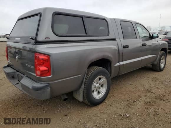 2010 Dodge Dakota SXT с VIN 1D7CW3GP3AS161843, выставлен на аукционе Copart как лот 76721334 с пробегом 308 931 миль миль и Чистый • Clean title. История ставок и продаж доступна на DreamBid. Изображение 3.