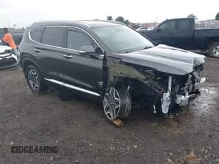 2023 Hyundai Santa Fe Limited with VIN 5NMS5DA11PH009504, listed as a IAAI auction lot 42880313 with 35,328 mi miles and . Bid and sale history available at DreamBid. Image 1.