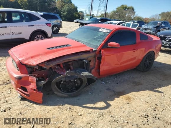 ✅ 2013 Ford Mustang GT • VIN: 1ZVBP8CF8D5213092 • Lot: 82653495. Listed on Copart with 134,319 mi. Free auction sales archive from the USA and detailed vehicle history report at DreamBid. Image 1.