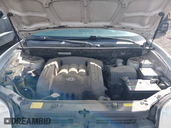 ✅ 2005 Hyundai Santa Fe GLS • VIN: KM8SC73D85U924785 • Лот: 41964578. Размещён на IAAI с пробегом 172 898 миль миль. Получите бесплатный доступ к архиву аукционных продаж из США и посмотрите подробный отчёт об истории автомобиля на DreamBid. Изображение 10.