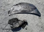 ✅ 2019 Nissan Sentra S • VIN: 3N1AB7AP6KY274091 • Lot: 85137655. Listed on Copart with Not provided. Free auction sales archive from the USA and detailed vehicle history report at DreamBid. Image 12.