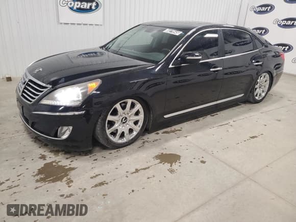 ✅ 2012 Hyundai Equus Ultimate • VIN: KMHGH4JH9CU045255 • Lot: 80279545. Listed on Copart with 127,355 mi. Free auction sales archive from the USA and detailed vehicle history report at DreamBid. Image 1.