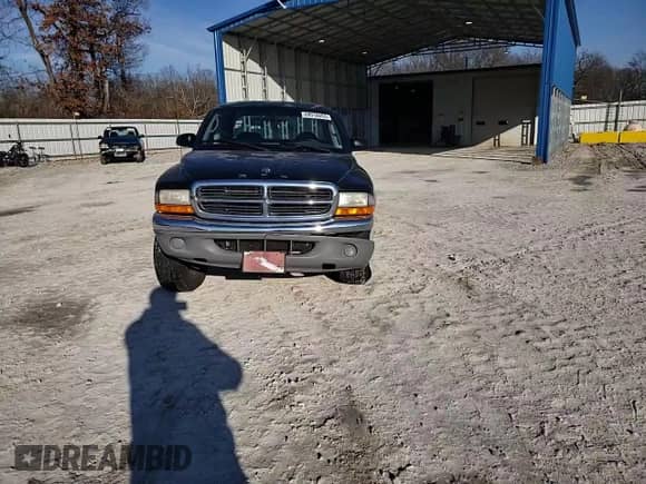 2001 Dodge Dakota Sport with VIN 1B7HG2AZ91S226339, listed as a Copart auction lot 89016685 with Not provided miles and Salvage title. Bid and sale history available at DreamBid. Image 11.