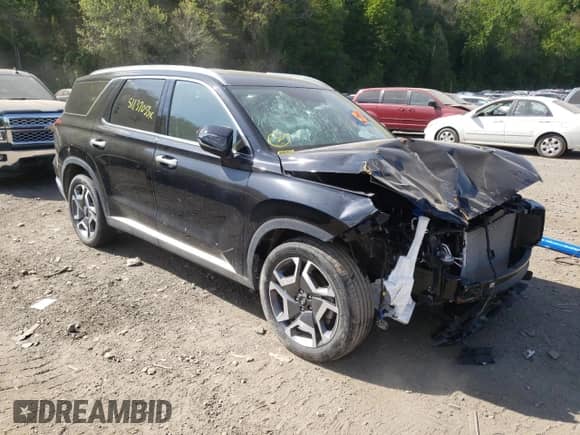 ✅ 2023 Hyundai Palisade Limited • VIN: KM8R5DGE1PU495809 • Лот: 51137053. Размещён на Copart с пробегом Не указан миль. Получите бесплатный доступ к архиву аукционных продаж из США и посмотрите подробный отчёт об истории автомобиля на DreamBid. Изображение 4.