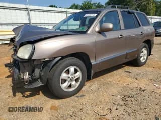 ✅ 2005 Hyundai Santa Fe GLS • VIN: KM8SC73E95U984924 • Лот: 61725715. Опубликован ранее на Copart с пробегом 194 455 миль. Бесплатный доступ к архиву аукционных продаж из США и подробный отчёт об истории автомобиля на DreamBid. Изображение 1.