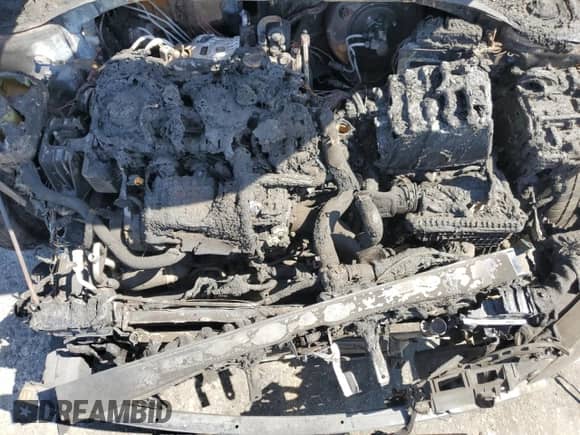 2017 Hyundai Elantra Eco with VIN 5NPD94LA4HH091369, listed as a Copart auction lot 70780215 with Not provided miles and Non repairable. Bid and sale history available at DreamBid. Image 11.