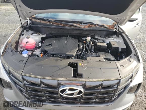 ✅ 2023 Hyundai Tucson SEL • VIN: 5NMJFCAEXPH172433 • Lot: 75637754. Wystawiony na Copart z przebiegiem 38 mil. Bezpłatny archiwum sprzedaży aukcyjnych z USA i szczegółowy raport historii pojazdu na DreamBid. Zdjęcie 12.